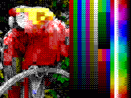 Archivo:Parrot tv.png