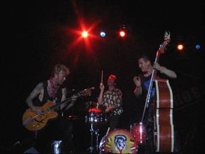 File:Stray cats - live in gijon 2.jpg