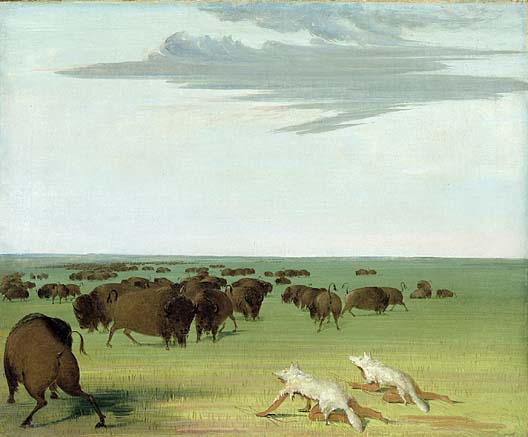 File:BuffaloHunters.jpg