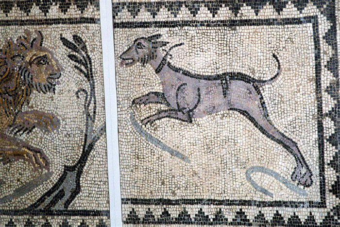 File:DogMosaic wb.jpg