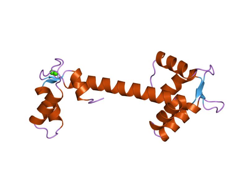 File:PDB 5tnc EBI.jpg