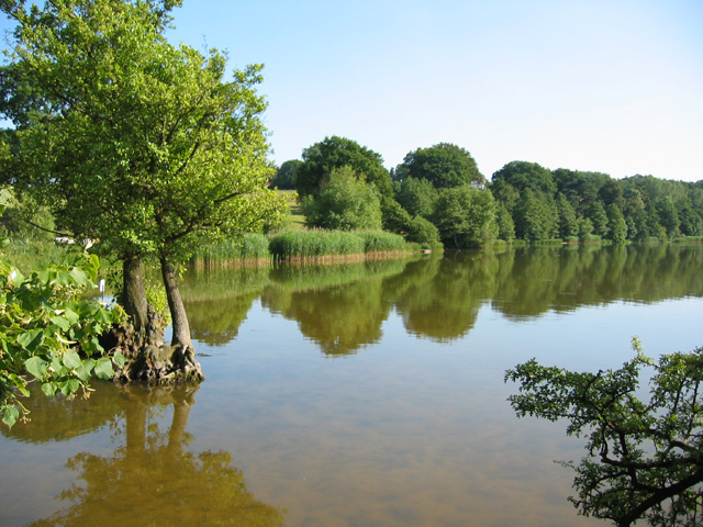 File:Marbury cum Quoisley - Marbury Big Mere.jpg