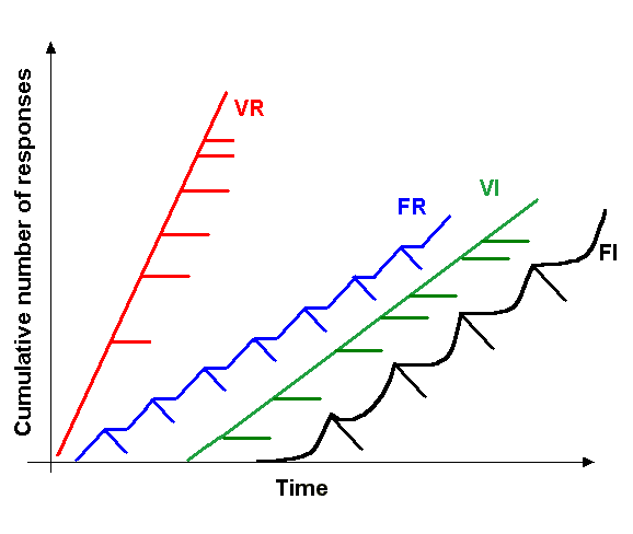 File:Schedule of reinforcement.png