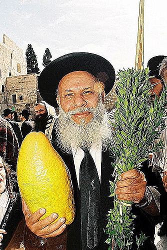 File:THE HOLIDAY OF SUCCOT IN JERUSALEM.jpg