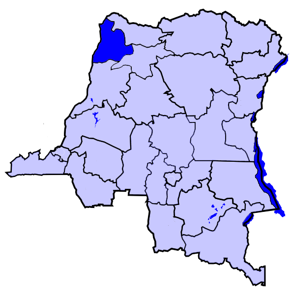 File:DCongoSudUbangi.png