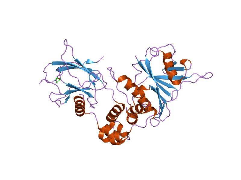 Файл:PDB 1lm8 EBI.jpg