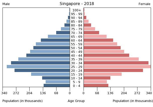 File:Singapore population pyramid (2018).jpg