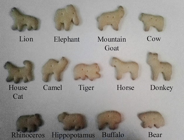 File:Stauffer's animal crackers.JPG