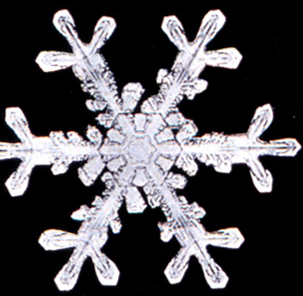 File:Snowflake7.png