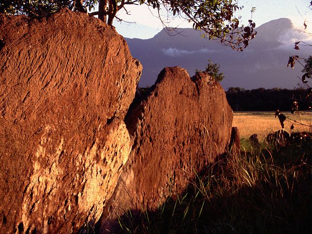 File:Cerro Duida.jpg