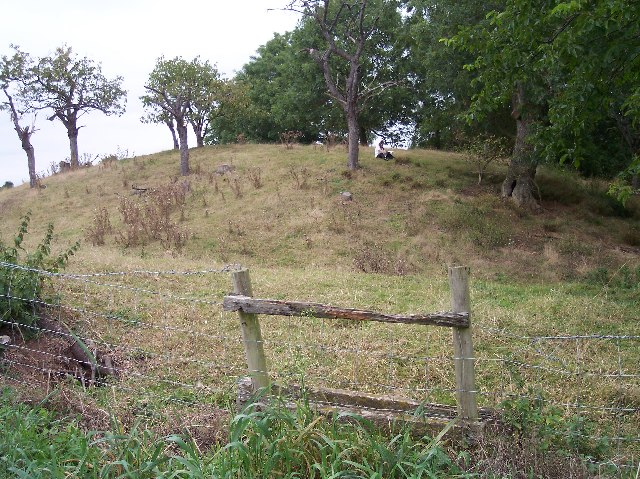 File:Leigh Castle Tump - geograph.org.uk - 54984.jpg