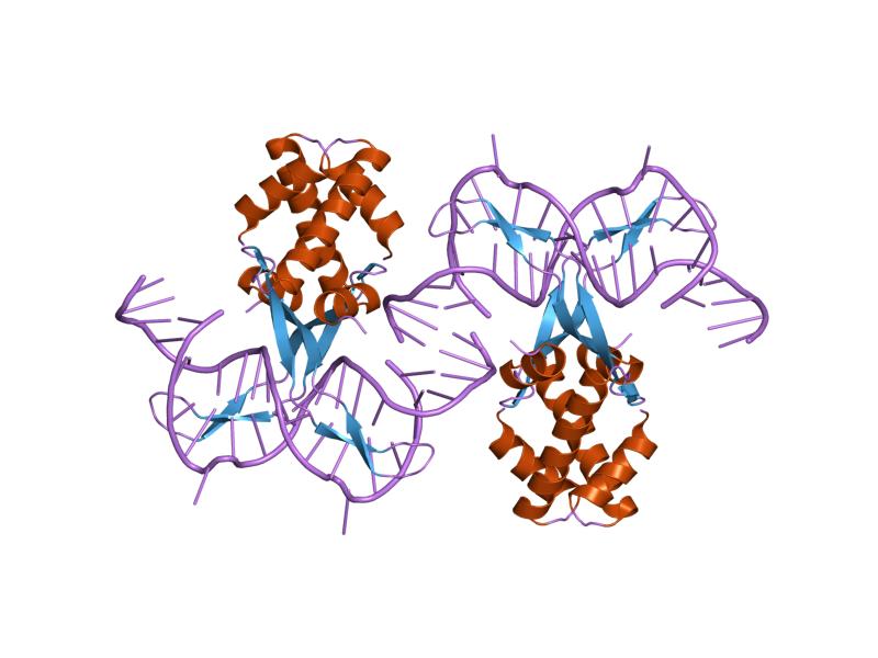 Archivo:PDB 1p51 EBI.jpg