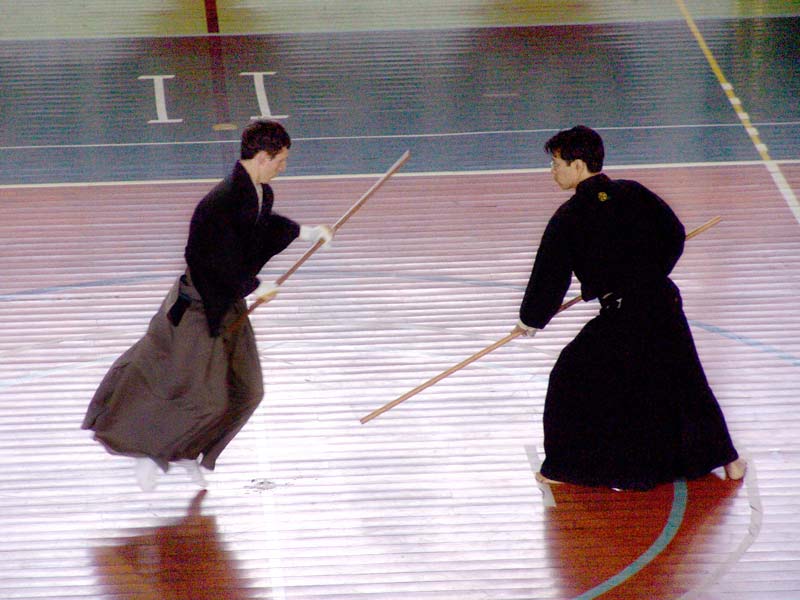 Archivo:Web niten bojutsu.JPG