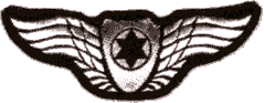 File:Israeli Air Force Pilot Wings Brevet.gif