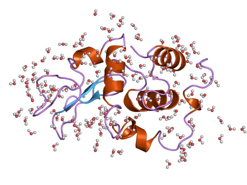 File:PDB 1yam EBI.jpg