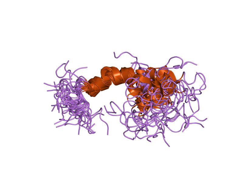 File:PDB 1z0q EBI.png