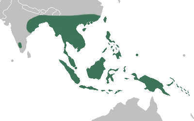 Файл:Paphiopedilum distribution map.png