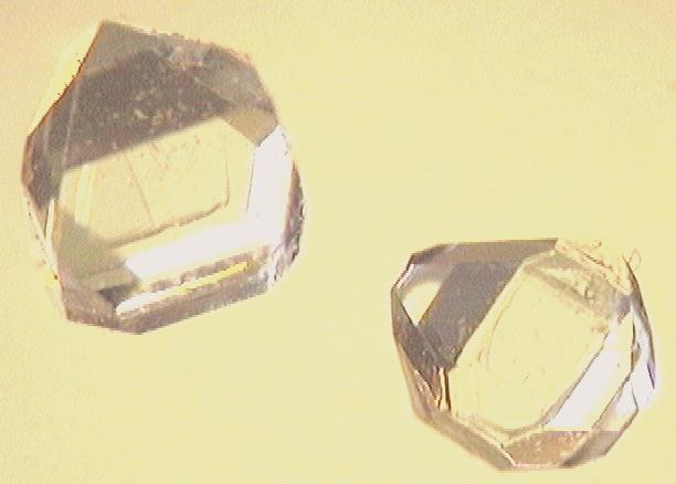 File:Xylitol crystals.jpg