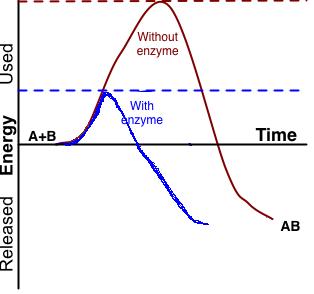 File:Activation2.JPG