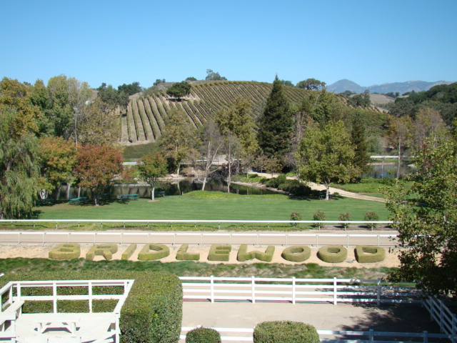 File:Bridlewood Estate Winery.jpg