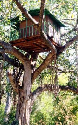 File:Kerala-treehouse-marayoor.jpg