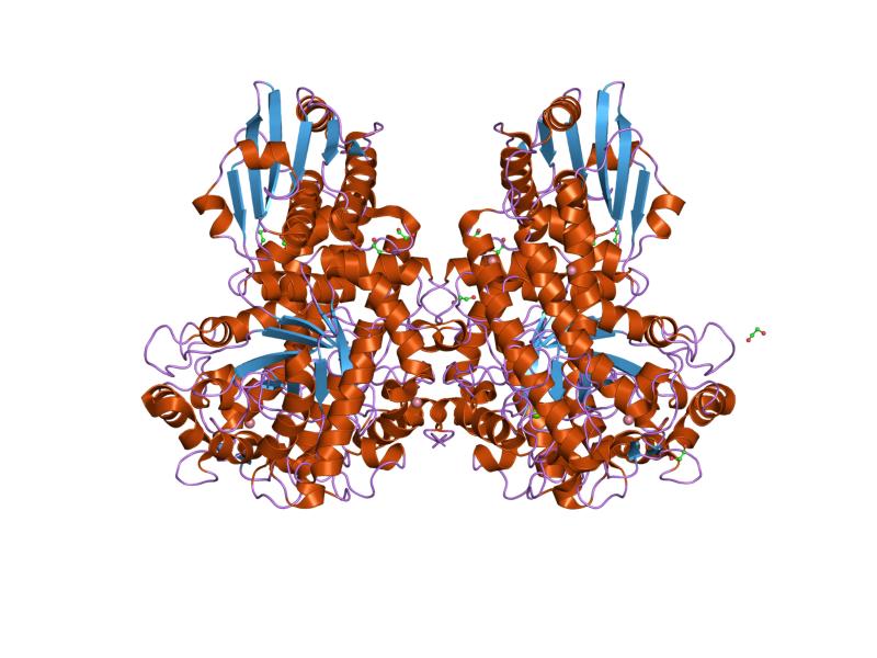 Archivo:PDB 1gqi EBI.jpg