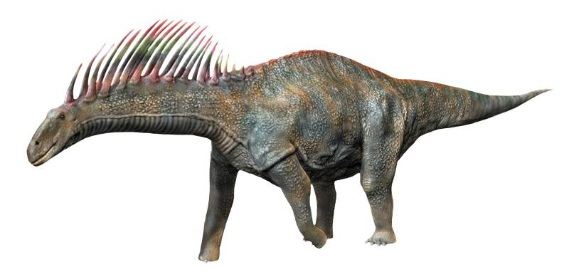 Archivo:Amargasaurus NT small.jpg