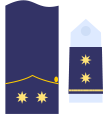 Divisa de teniente coronel del Ejército del Aire.