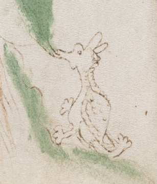 Archivo:Voynich Manuscript (50) detail ((dragon)).jpg