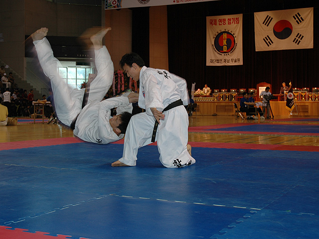 File:Hapkido4.jpg