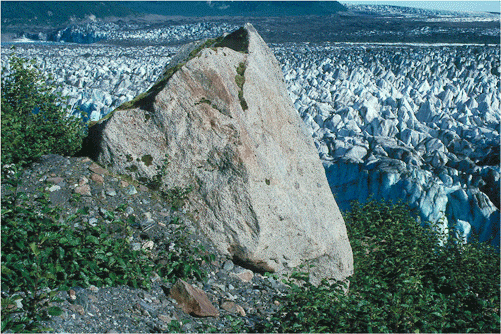 File:Glacial erratic in alaska.gif