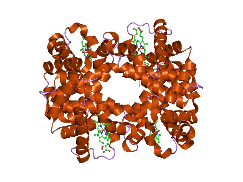 File:PDB 1ydz EBI.jpg