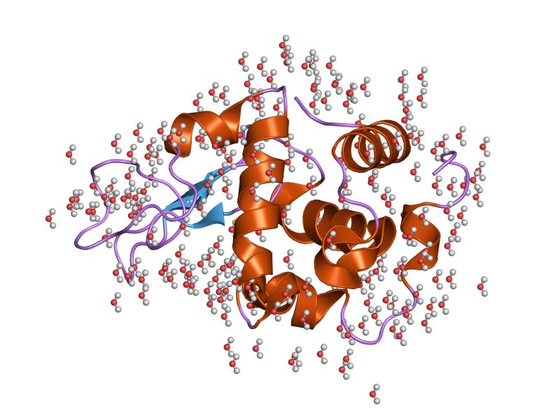 File:PDB 2nwd EBI.jpg