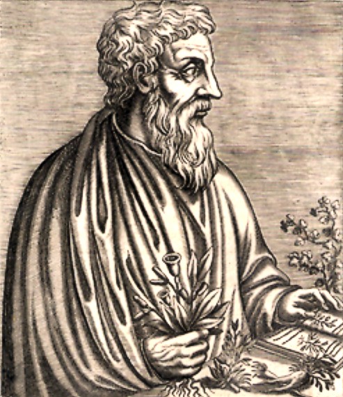 File:Dioscorides01.jpg