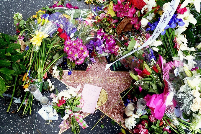 File:Elizabeth Taylor Walk of Fame.jpg