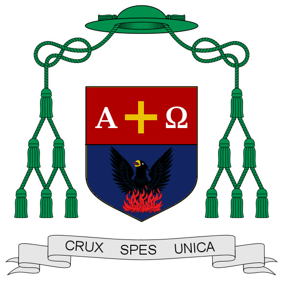 Archivo:Diocesis rancaguensis.png