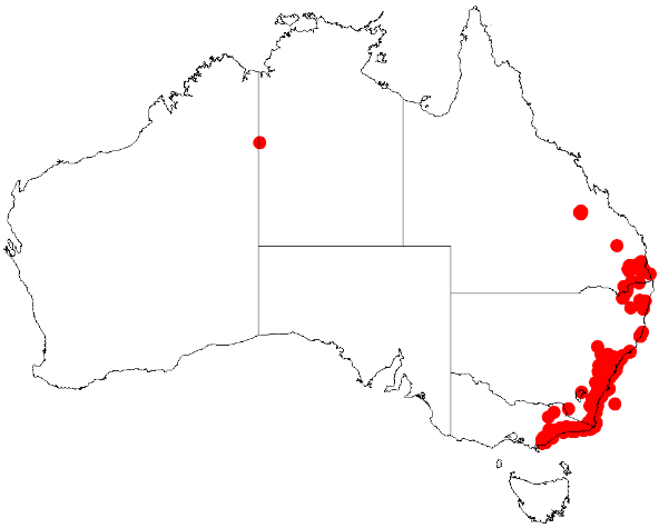 File:Scaevola ramosissima DistMap60.png