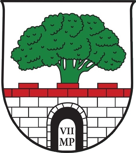 File:AUT Puch bei Hallein COA.jpg