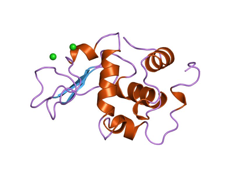 File:PDB 1wqq EBI.jpg