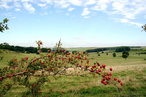 File:Lincolnshirewolds.jpg