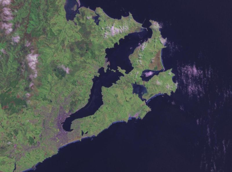 File:Otago harbour landsat.jpg