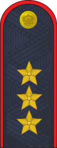 Файл:Russia-police-17.png