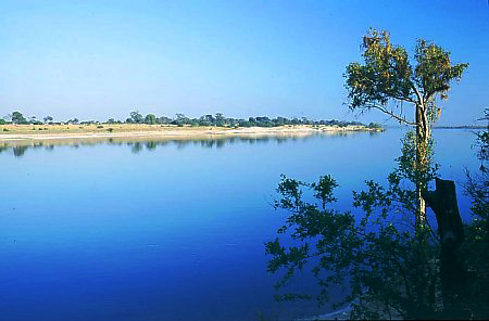 Файл:Zambezi River near Zambezi Town.jpg