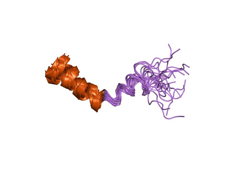 File:PDB 1ho9 EBI.jpg