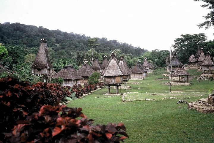 File:As casas elevadas da Ponta Leste--3.jpg