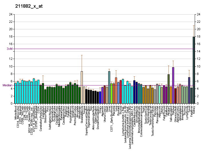 File:PBB GE FUT3 211882 x at fs.png