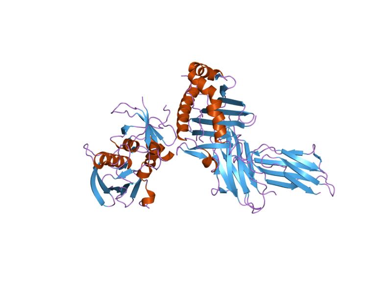 File:PDB 1jwu EBI.jpg