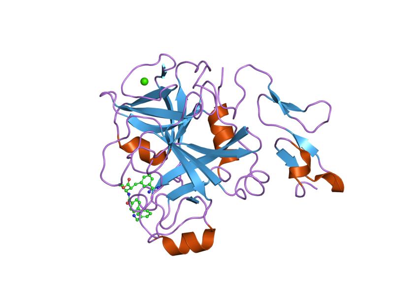 File:PDB 1ezq EBI.jpg