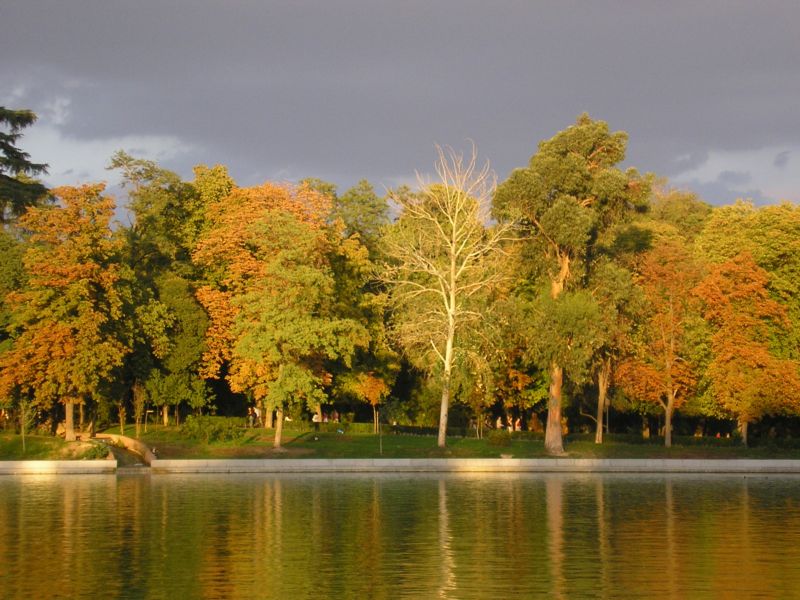 File:Jardines del Buen Retiro (Madrid) 01.jpg