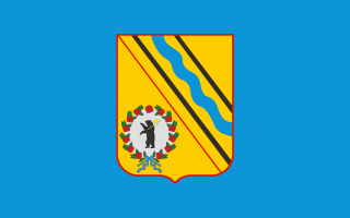 Файл:Tutayev flag.png